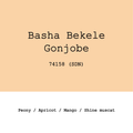 Gonjobe 74158 slow dry natural, Basha Bekele, roasted by Goût & Co