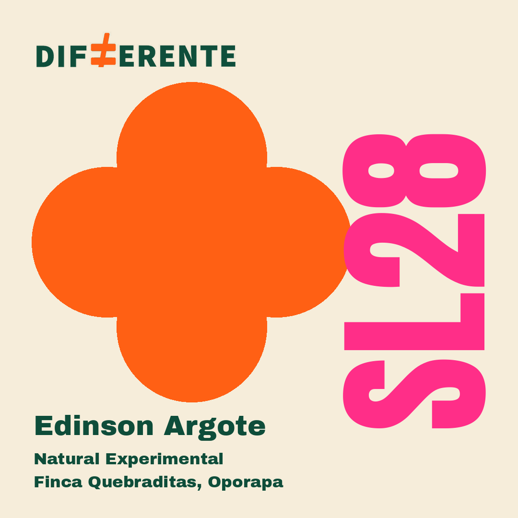 Edinson Argote SL28 Natural Experimental, Differente Coffee