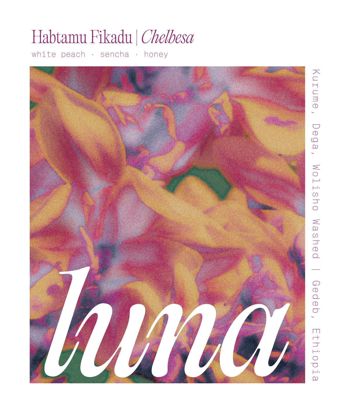 Habtamu Chelbesa — Luna Coffee label artwork