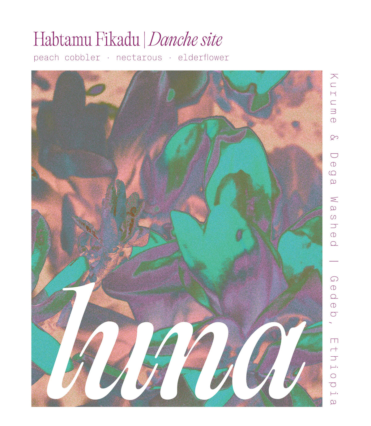 Habtamu Danche — Luna Coffee label artwork