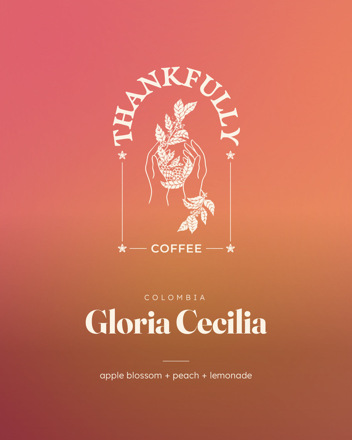 Gloria Cecilia Chiroso, Colombia, roasted by Thankfully Coffee: apple blossom, peach, lemonade